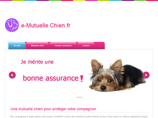 Une mutuelle pour chien la moins chère possible